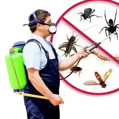 pest control Horace